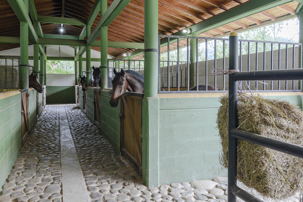 Finca Boutique El Diamante Salgar (Antioquia) Exterior foto
