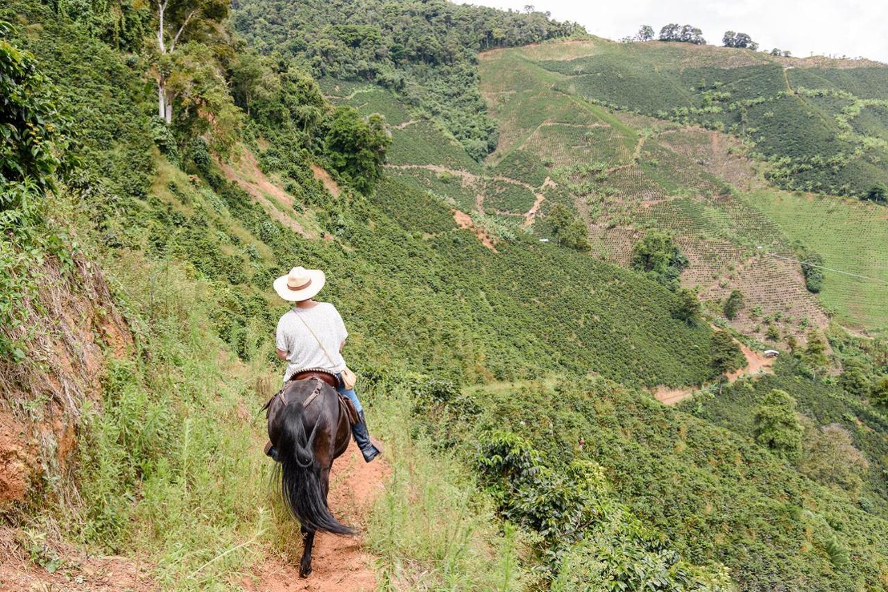 Finca Boutique El Diamante Salgar (Antioquia) Exterior foto